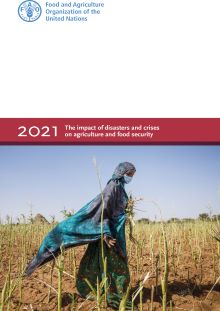 The impact of disasters and crises on agriculture and food security: 2021